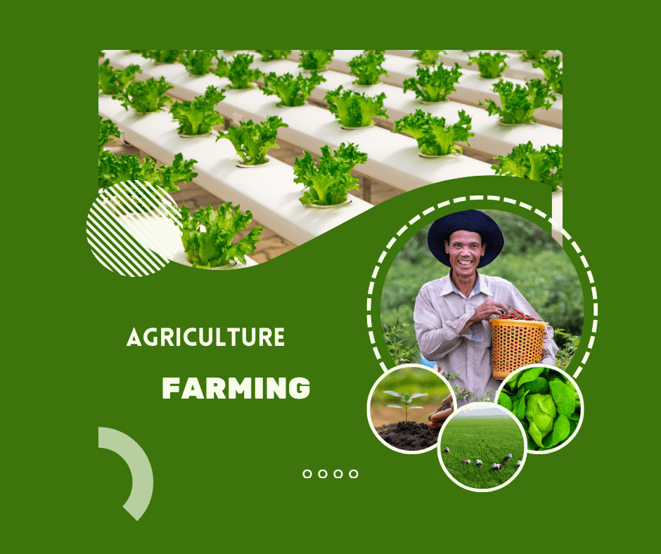 Powerful Leadership Lessons from the Farm