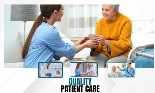 Caregiver-Reported Quality in Hospices Owned by Private Equity Firms and Publicly Traded Companies
