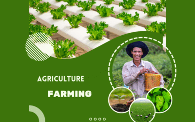 Powerful Leadership Lessons from the Farm