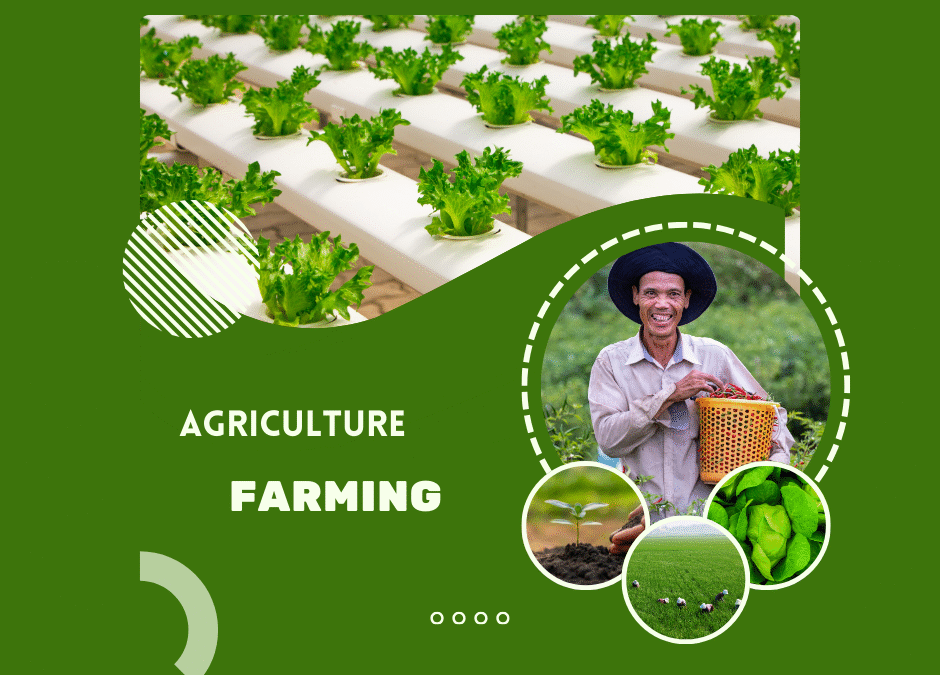 Powerful Leadership Lessons from the Farm